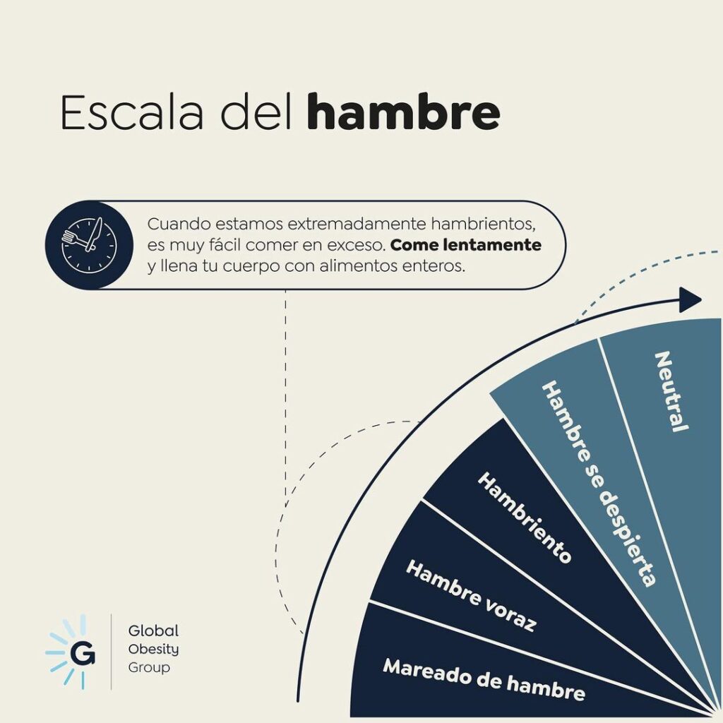 Hábitos saludables de alimentación