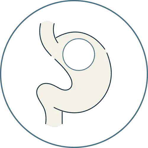 Como bajar de peso rápido-Glbal Obesity Group- Acompañamiento en Bogotá