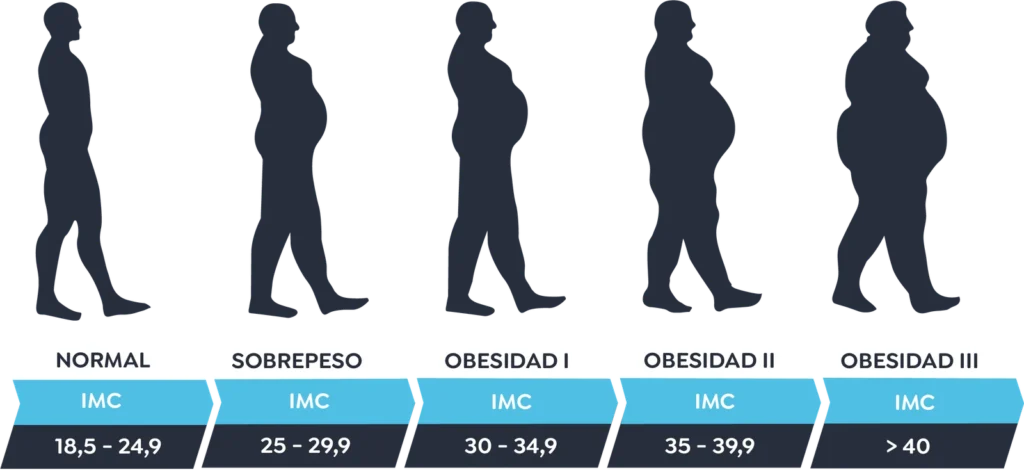 IMC - GLOBAL OBESITY GROUP