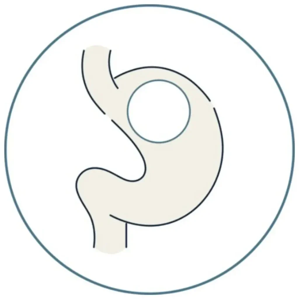 for how to weigh loss fast- Global Obesity Group
